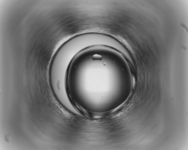 X0000094221230200710261223