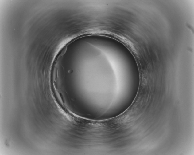 X0000094221231200710261223