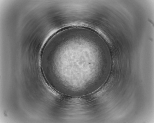 X0000094221232200710261223