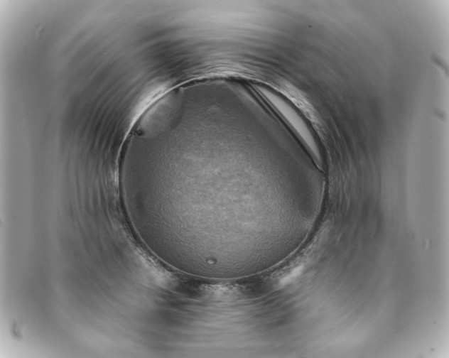 X0000094221234200710261223