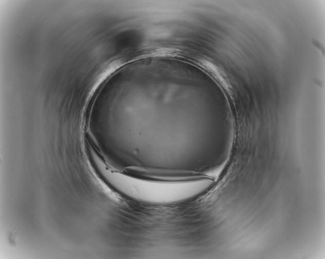 X0000094221235200710261223