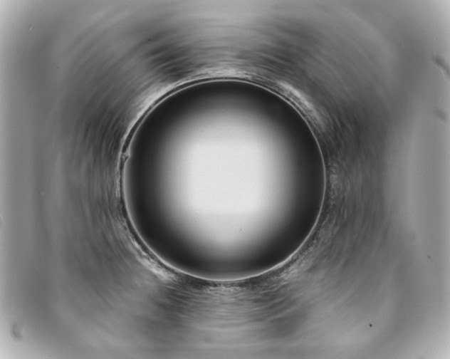 X0000094221236200710261223