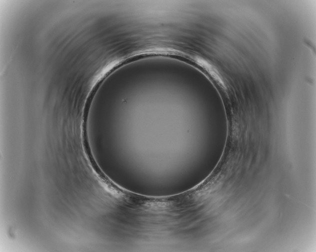 X0000094221237200710261223