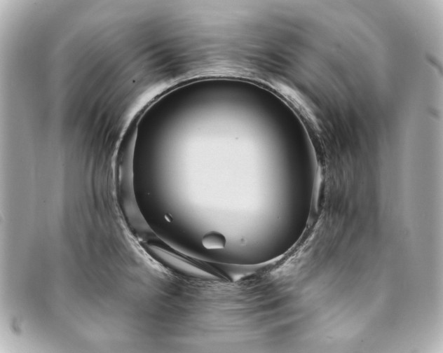 X0000094221238200710261224