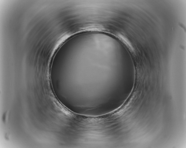 X0000094221240200710261224