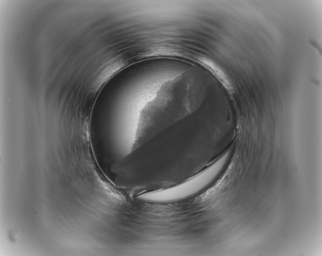 X0000094221241200710261224