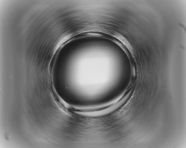 X0000094221242200710261224