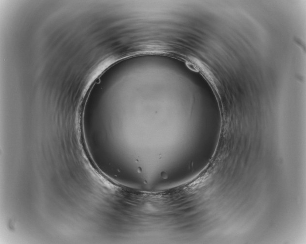 X0000094221243200710261224