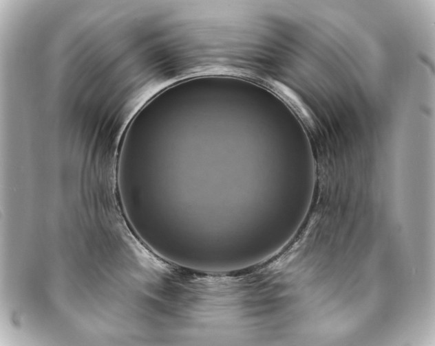 X0000094221244200710261224