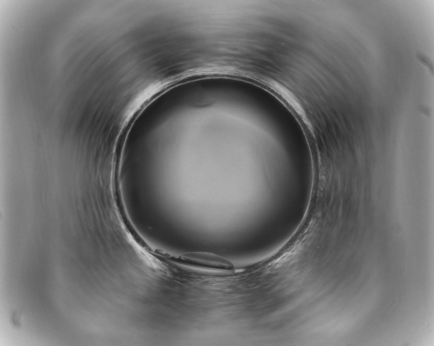 X0000094221245200710261224