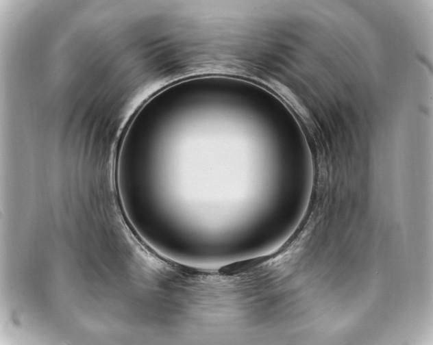 X0000094221246200710261224