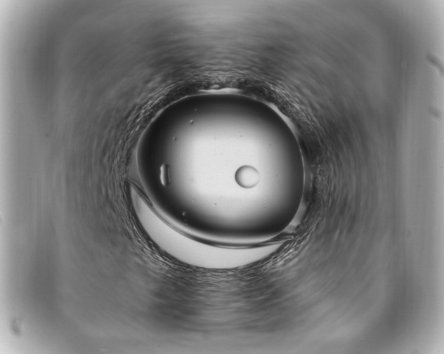 X0000094221249200710261223