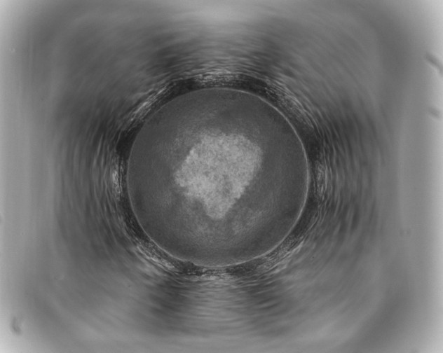 X0000094221250200710261223
