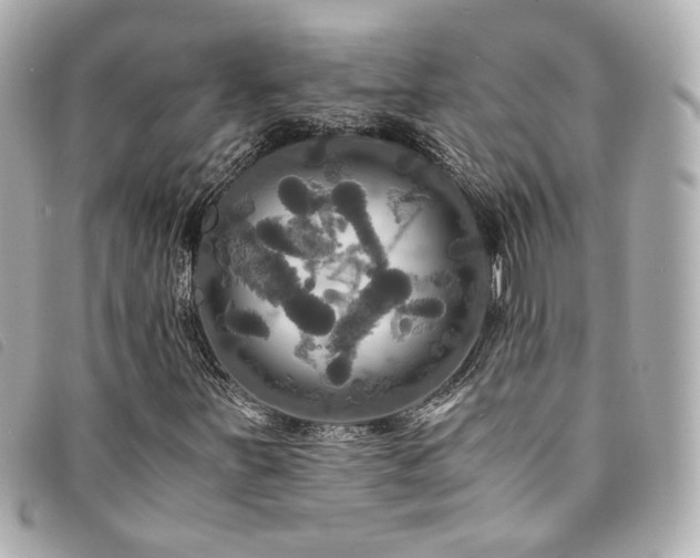 X0000094221251200710261223