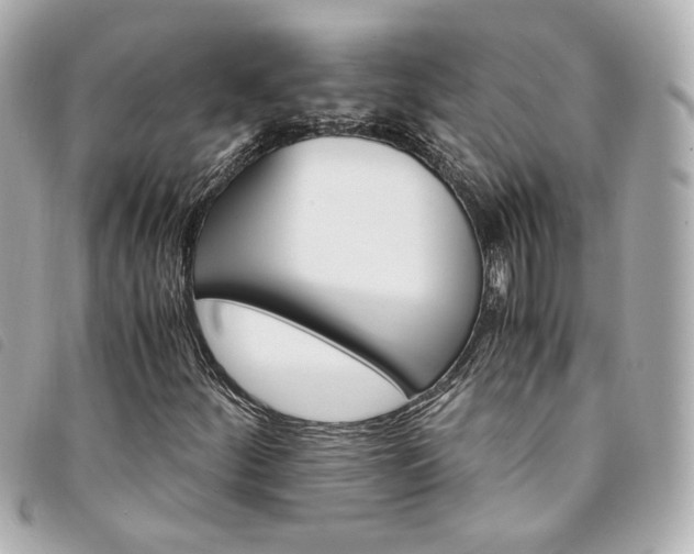 X0000094221252200710261223