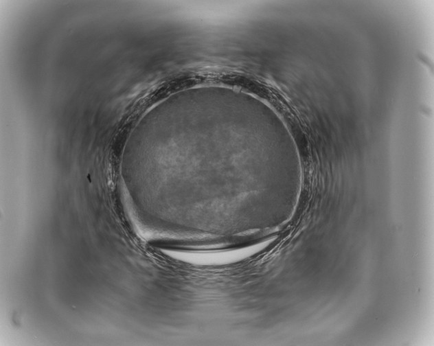 X0000094221253200710261223