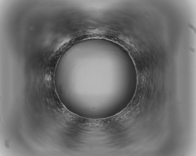 X0000094221254200710261223