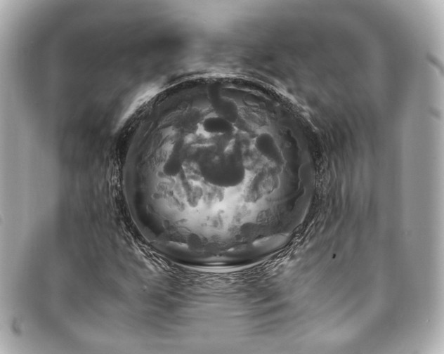 X0000094221255200710261223