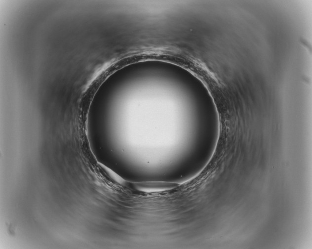 X0000094221256200710261223
