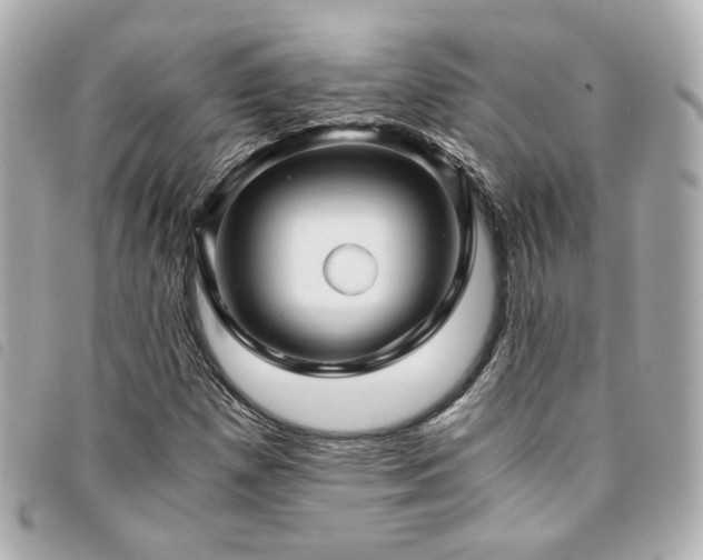 X0000094221257200710261223
