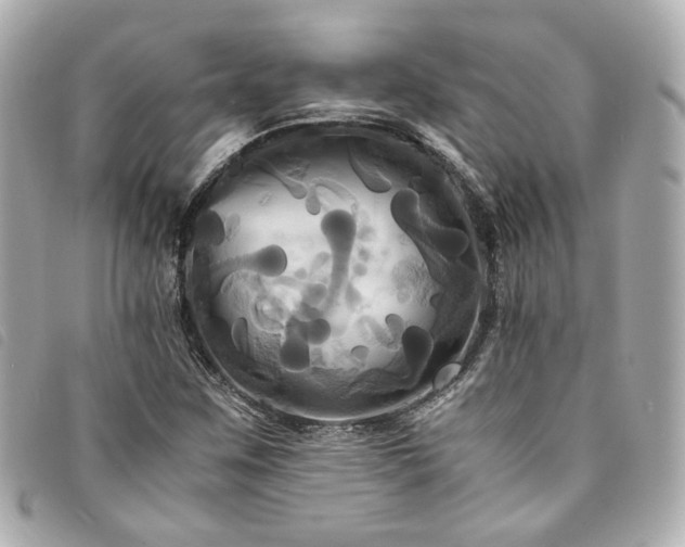 X0000094221259200710261223