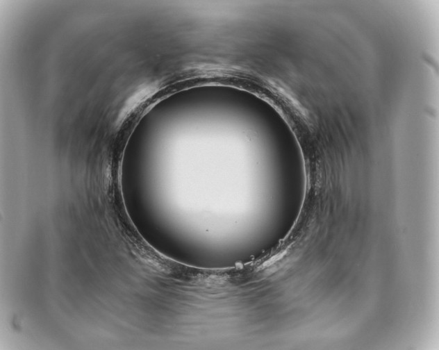 X0000094221261200710261223