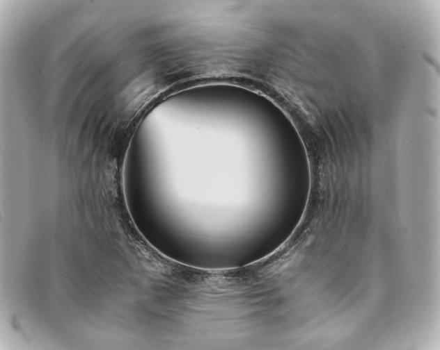 X0000094221265200710261223