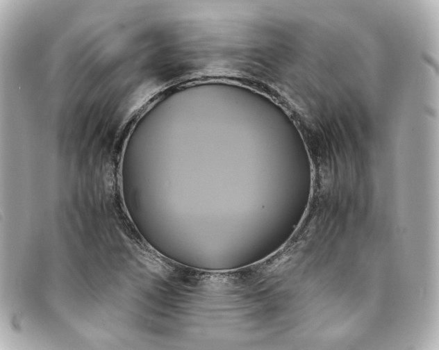 X0000094221266200710261223