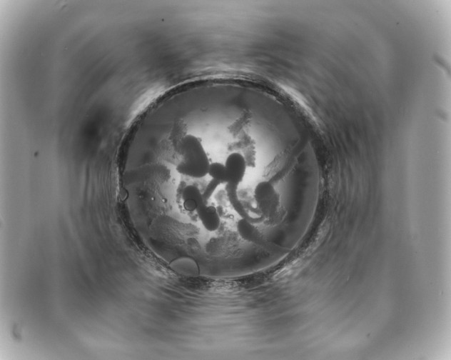 X0000094221267200710261223