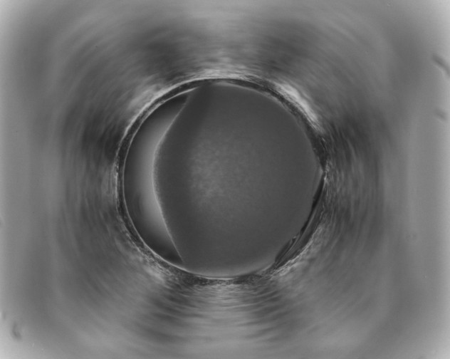 X0000094221268200710261223