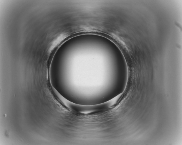 X0000094221269200710261223