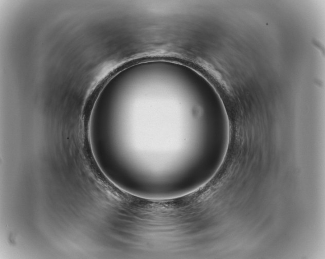 X0000094221270200710261223
