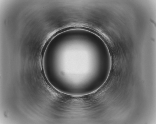 X0000094221272200710261223