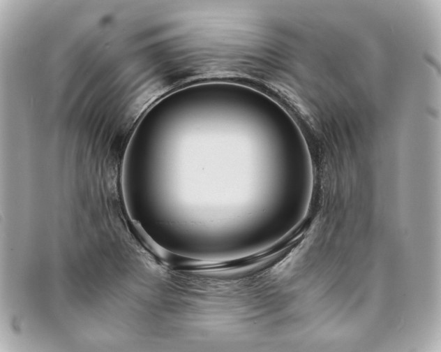 X0000094221273200710261223