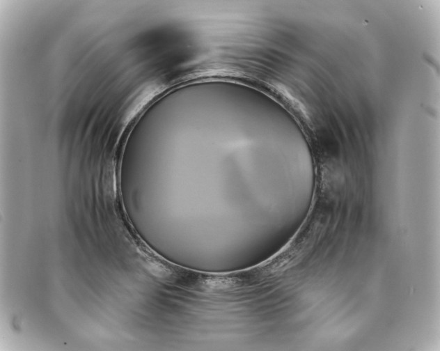 X0000094221274200710261223