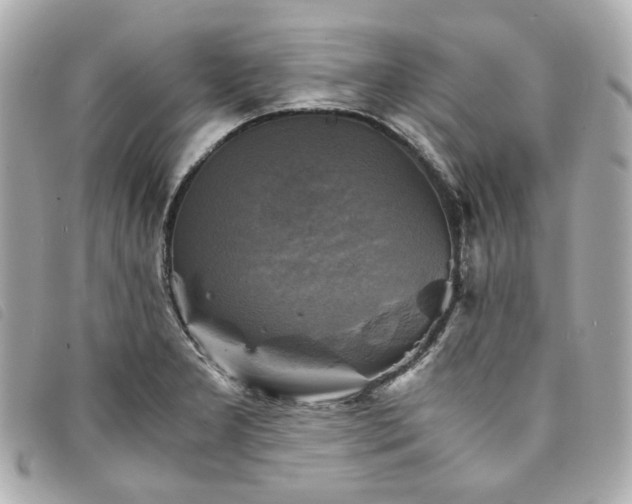X0000094221277200710261223