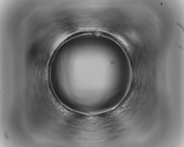 X0000094221279200710261223