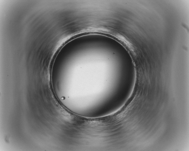 X0000094221280200710261223