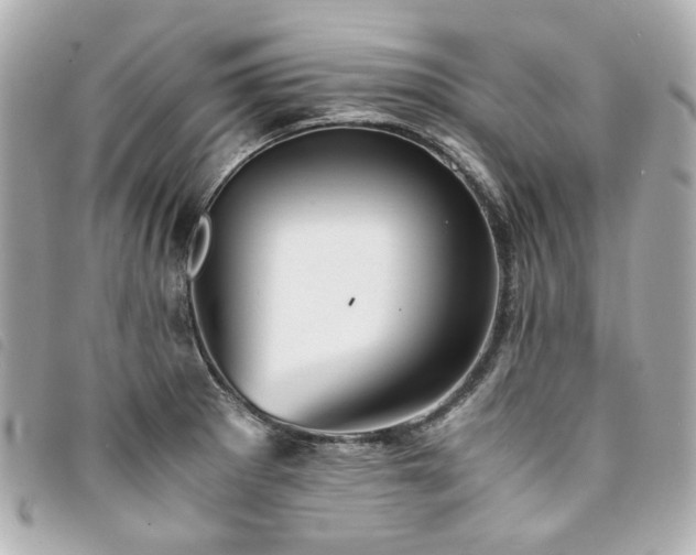 X0000094221281200710261223