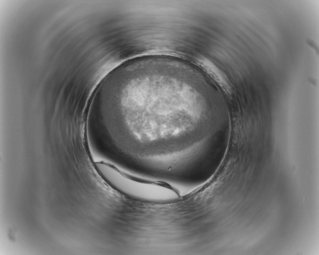 X0000094221284200710261223