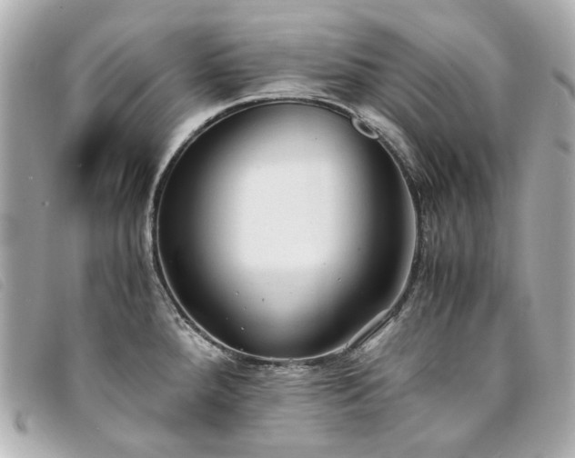 X0000094221288200710261223