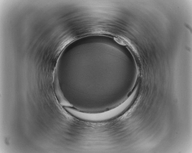 X0000094221289200710261223