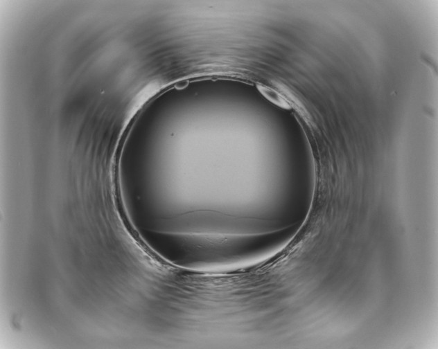 X0000094221291200710261223