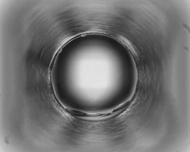 X0000094221292200710261223