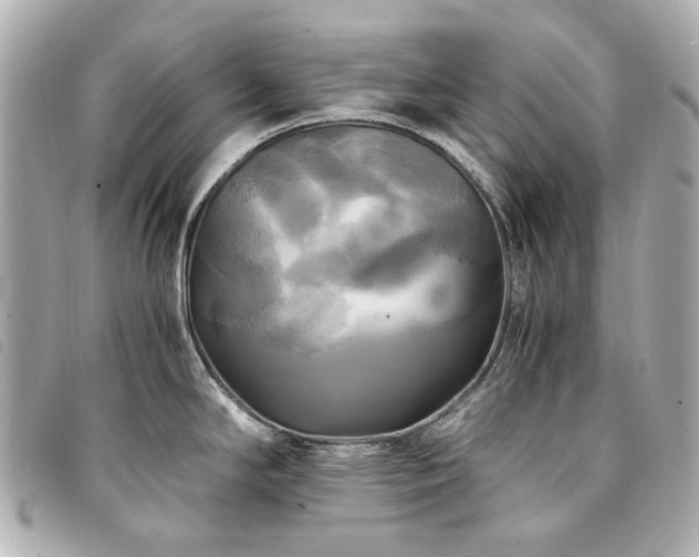 X0000094221294200710261223