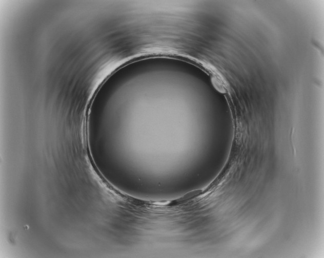 X0000094221295200710261222