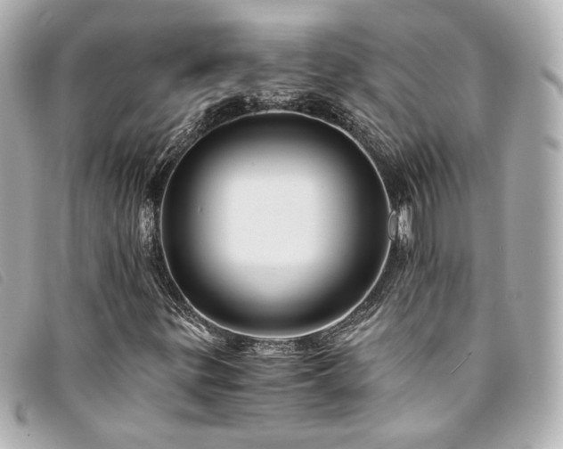 X0000094221299200710261222