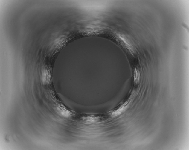X0000094221300200710261222