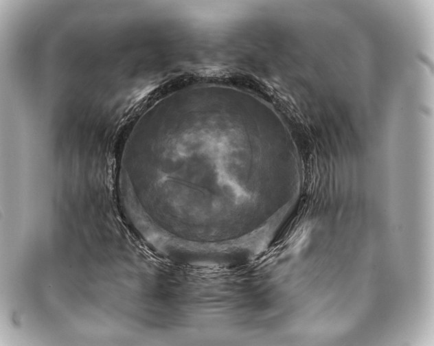 X0000094221301200710261222