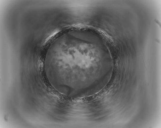 X0000094221302200710261222